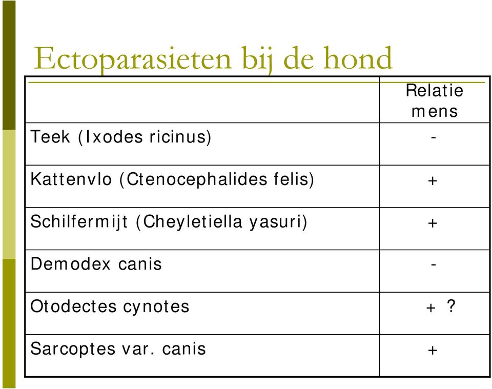 (Cheyletiella yasuri) Demodex canis Otodectes