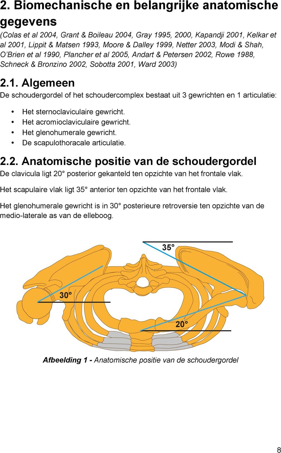 Het acromioclaviculaire gewricht. Het glenohumerale gewricht. De scapulothoracale articulatie. 2.