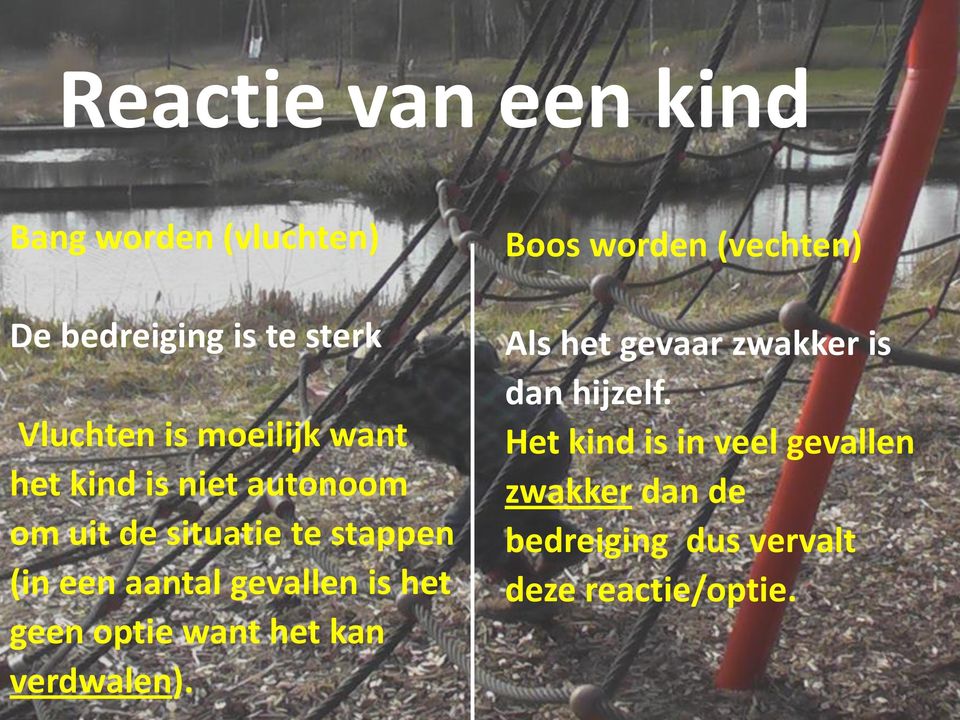 geen optie want het kan verdwalen).