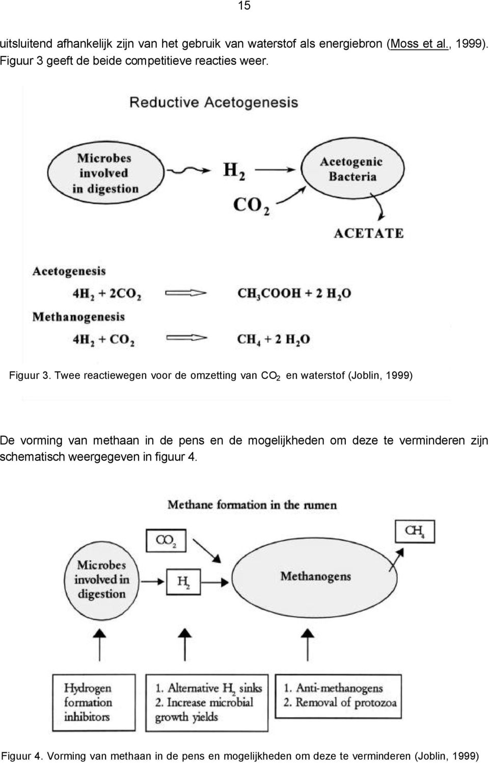 Twee reactiewegen voor de omzetting van CO 2 en waterstof (Joblin, 1999) De vorming van methaan in de pens en