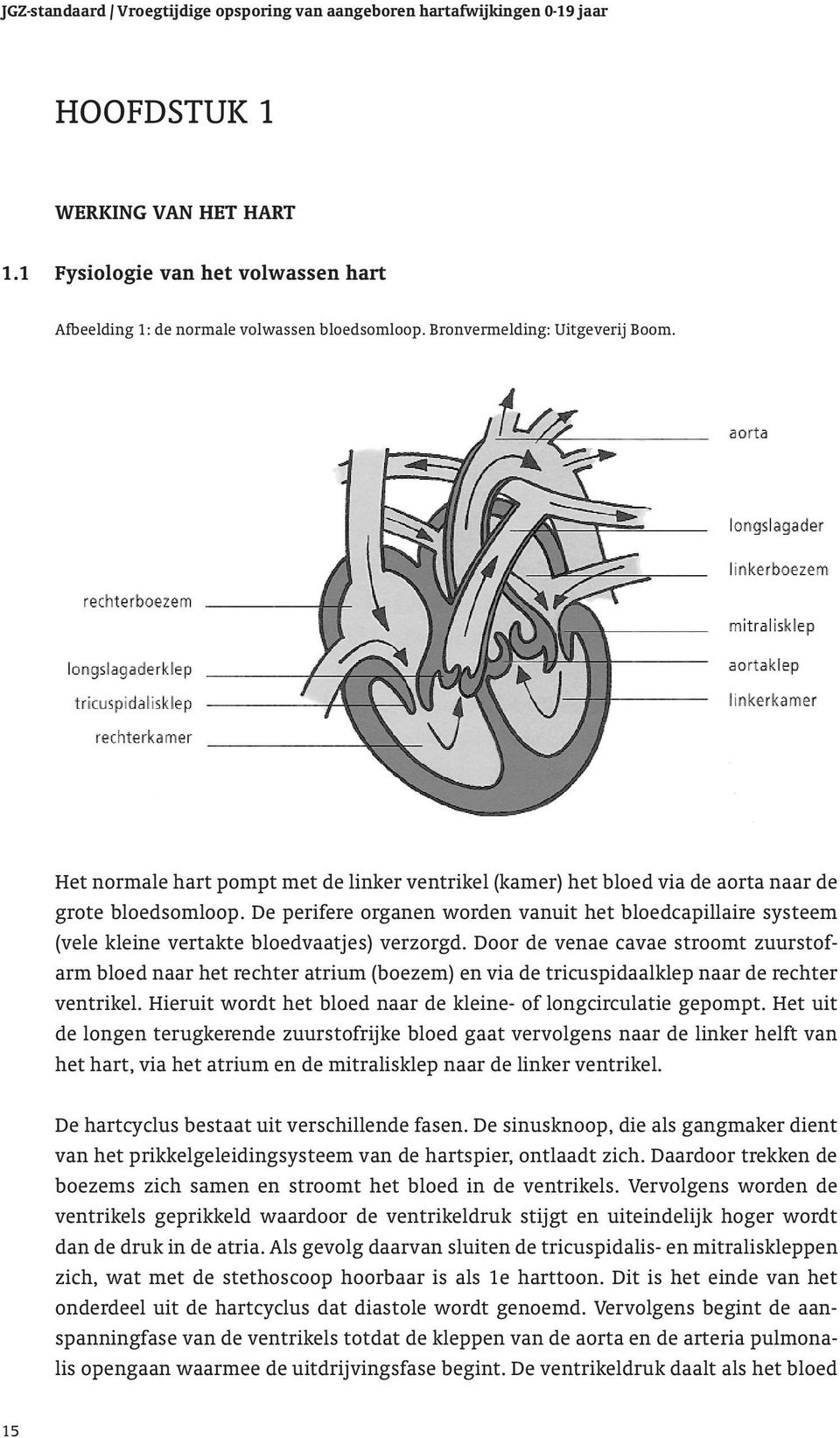 De perifere organen worden vanuit het bloedcapillaire systeem (vele kleine vertakte bloedvaatjes) verzorgd.