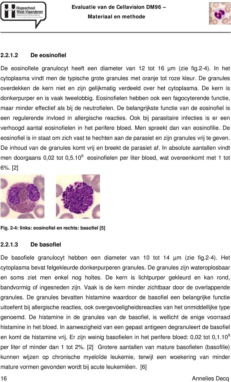 De kern is donkerpurper en is vaak tweelobbig. Eosinofielen hebben ook een fagocyterende functie, maar minder effectief als bij de neutrofielen.