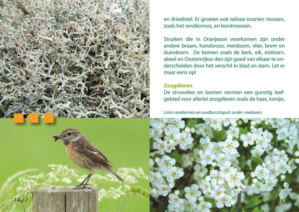 De bomen zoals de berk, eik, esdoorn, abeel en Oostenrijkse den zijn goed van elkaar te onderscheiden door het verschil in blad en