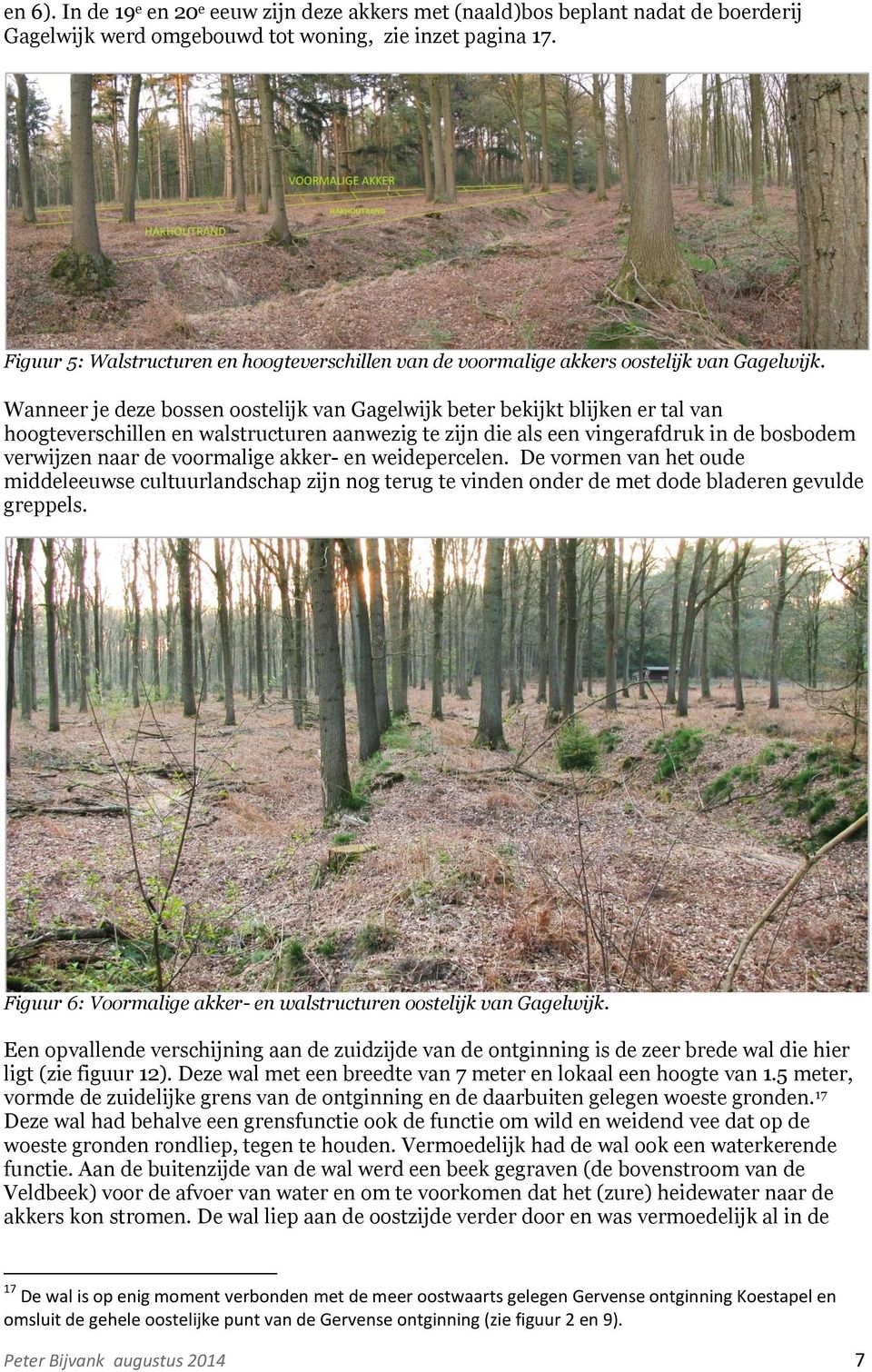 Wanneer je deze bossen oostelijk van Gagelwijk beter bekijkt blijken er tal van hoogteverschillen en walstructuren aanwezig te zijn die als een vingerafdruk in de bosbodem verwijzen naar de
