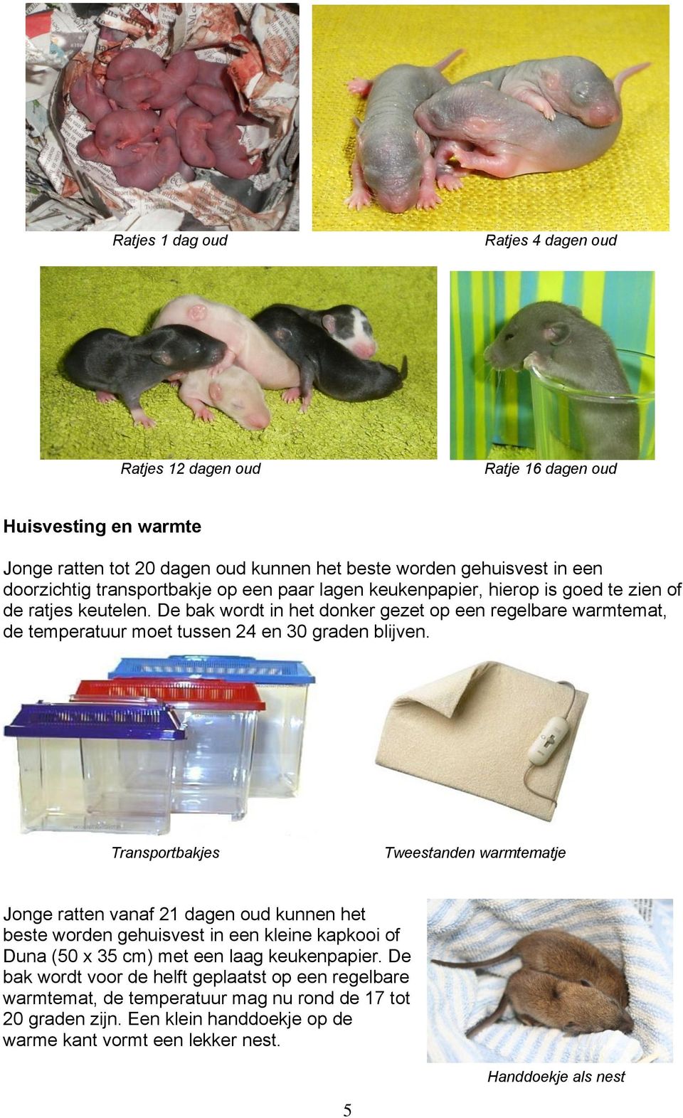 Transportbakjes Tweestanden warmtematje Jonge ratten vanaf 21 oud kunnen het beste worden gehuisvest in een kleine kapkooi of Duna (50 x 35 cm) met een laag keukenpapier.