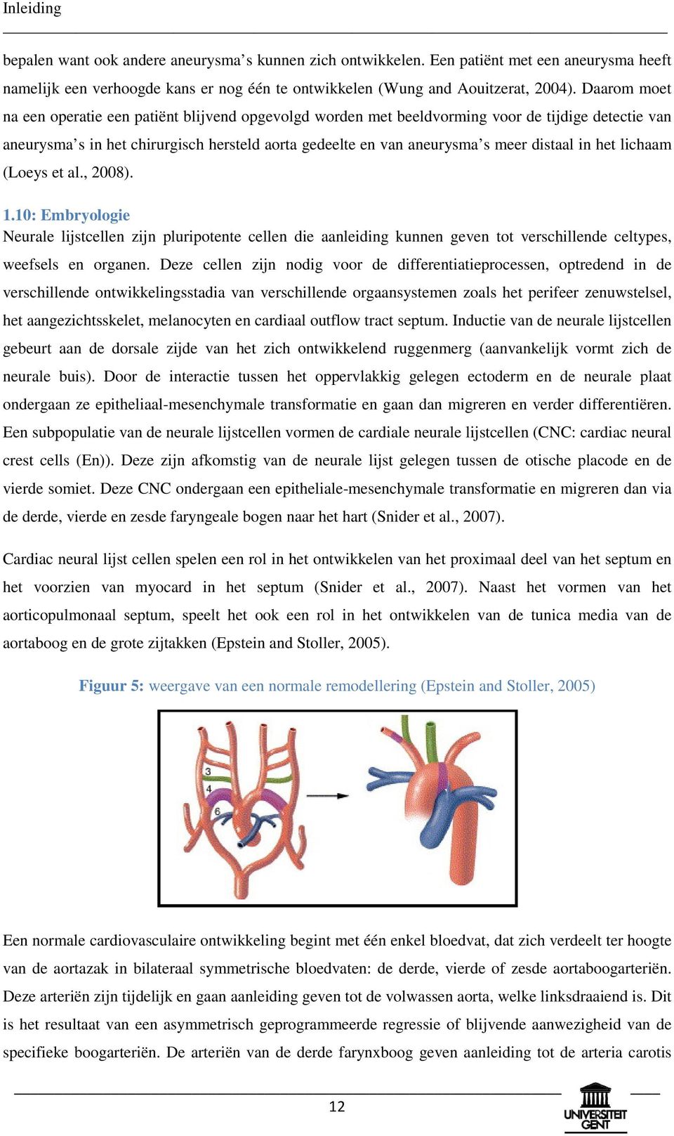 in het lichaam (Loeys et al., 2008). 1.10: Embryologie Neurale lijstcellen zijn pluripotente cellen die aanleiding kunnen geven tot verschillende celtypes, weefsels en organen.