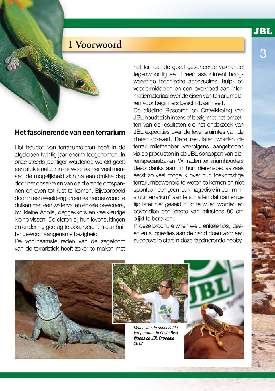 komen. Bijvoorbeeld door in een weelderig groen kameroerwoud te duiken met een waterval en enkele bewoners, bv. kleine Anolis, daggekko s en veelkleurige kleine vissen.