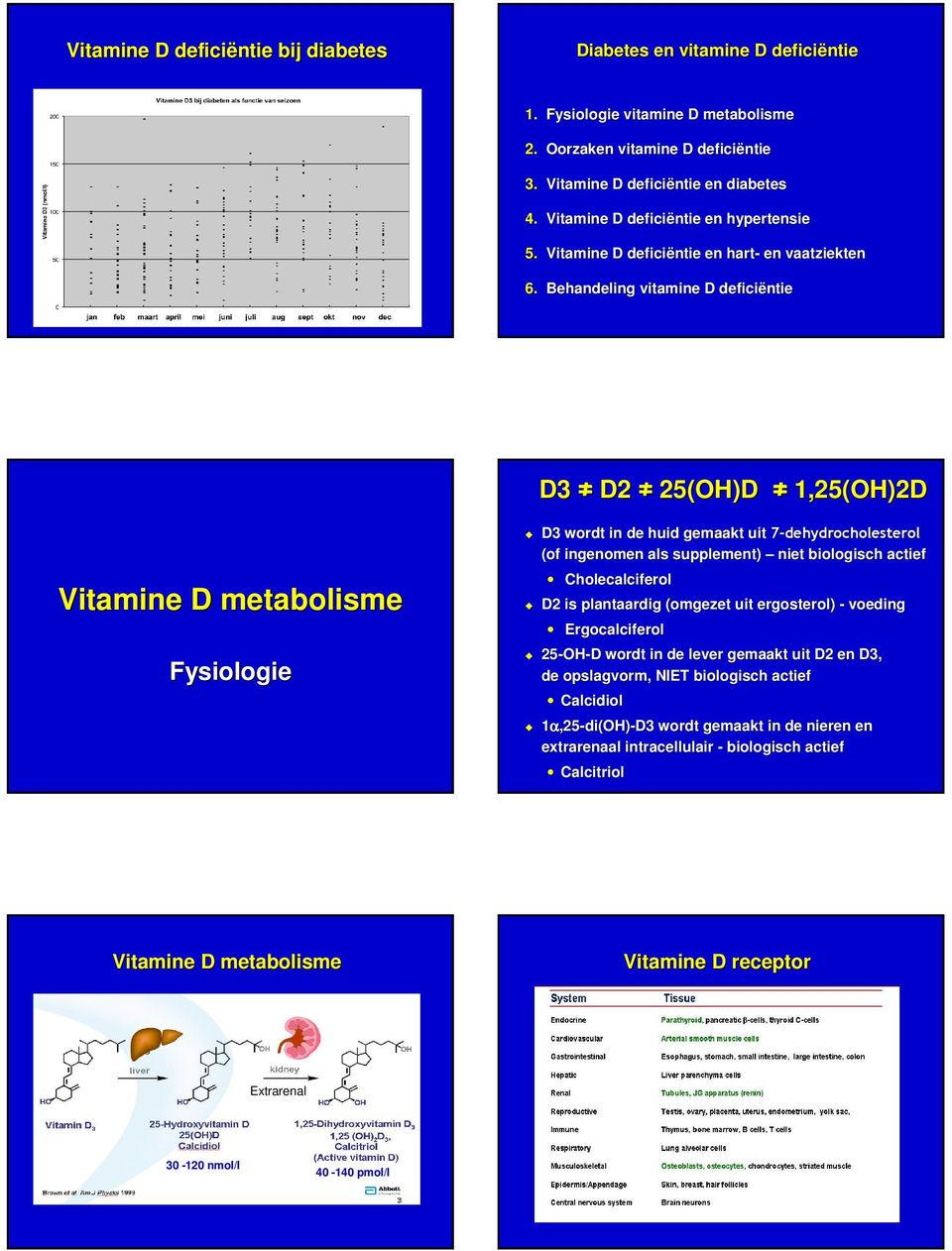 biologisch actief Cholecalciferol D2 is plantaardig (omgezet uit ergosterol) - voeding Ergocalciferol 25-OH OH-D D wordt in de lever gemaakt uit D2 en D3, de opslagvorm, NIET biologisch