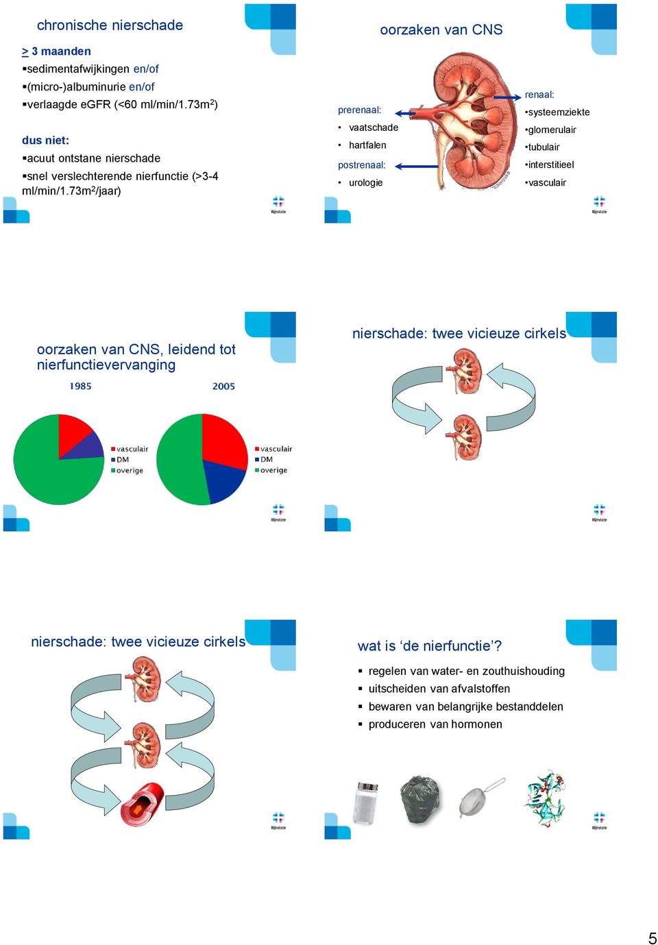 73m 2 /jaar) prerenaal: vaatschade hartfalen postrenaal: urologie oorzaken van CNS renaal: systeemziekte glomerulair tubulair interstitieel