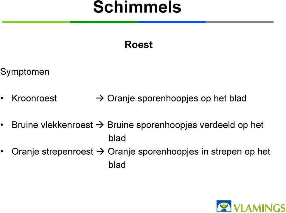 Bruine sporenhoopjes verdeeld op het blad