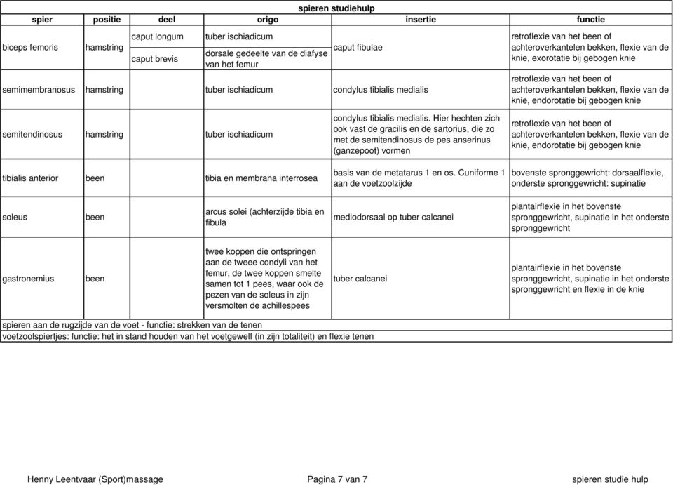 semitendinosus hamstring tuber ischiadicum tibialis anterior tibia en membrana interrosea condylus tibialis medialis.