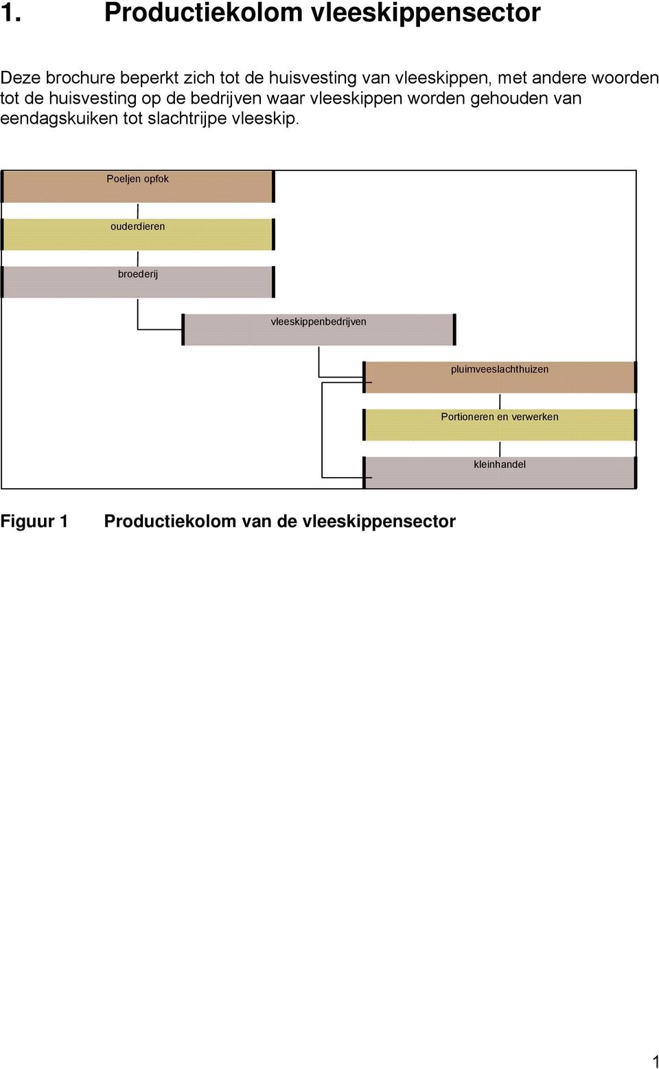 eendagskuiken tot slachtrijpe vleeskip.