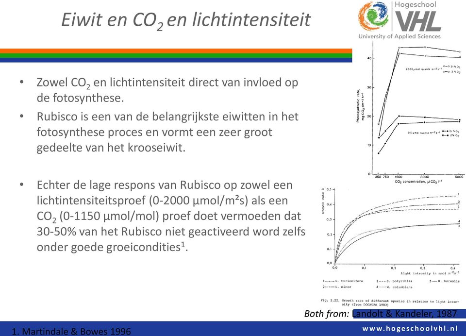 Echter de lage respons van Rubisco op zowel een lichtintensiteitsproef (0-2000 µmol/m²s) als een CO 2 (0-1150 µmol/mol) proef