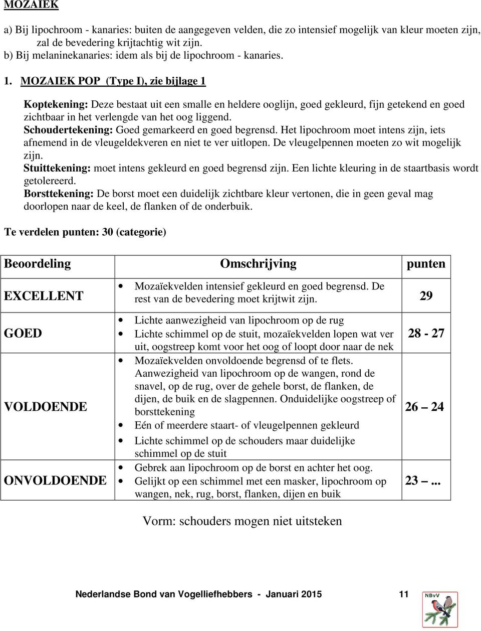 MOZAIEK POP (Type I), zie bijlage 1 Koptekening: Deze bestaat uit een smalle en heldere ooglijn, goed gekleurd, fijn getekend en goed zichtbaar in het verlengde van het oog liggend.