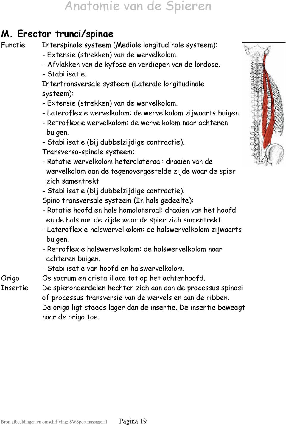 - Retroflexie wervelkolom: de wervelkolom naar achteren buigen. - Stabilisatie (bij dubbelzijdige contractie).