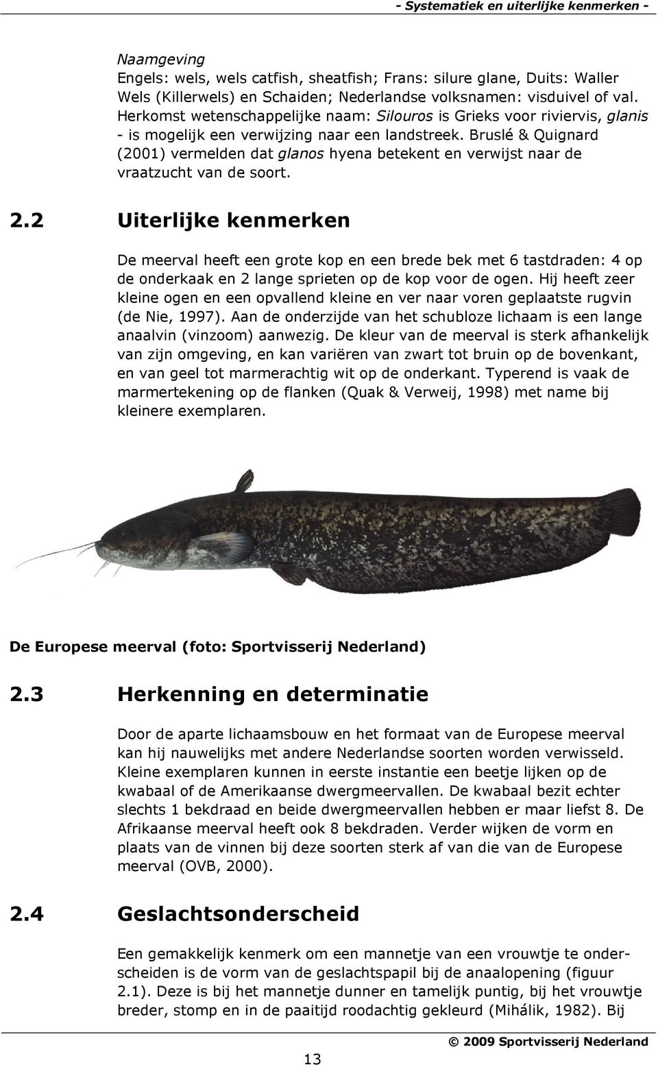 Bruslé & Quignard (2001) vermelden dat glanos hyena betekent en verwijst naar de vraatzucht van de soort. 2.