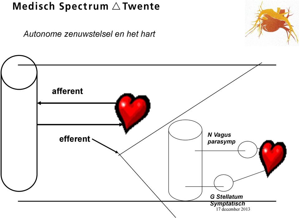 efferent N Vagus