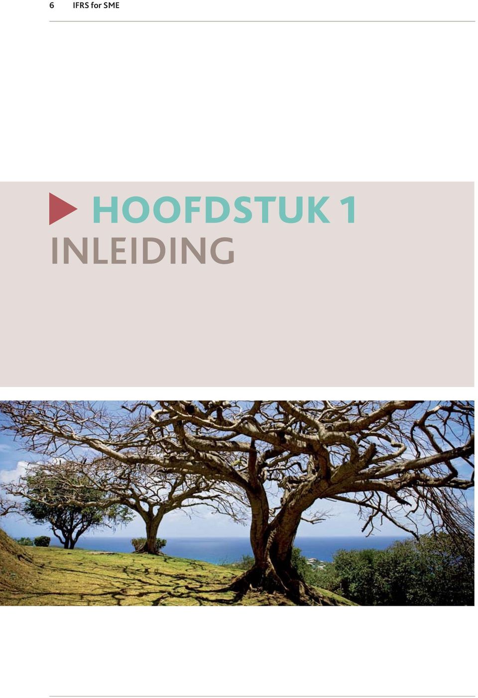 HOOFDSTUK