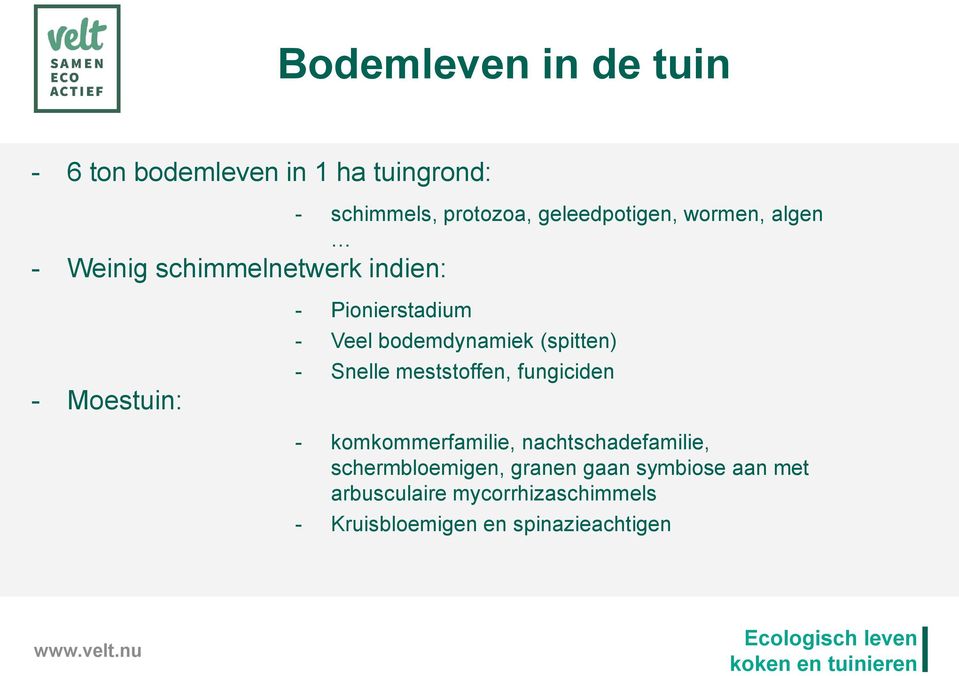 (spitten) - Snelle meststoffen, fungiciden - komkommerfamilie, nachtschadefamilie,