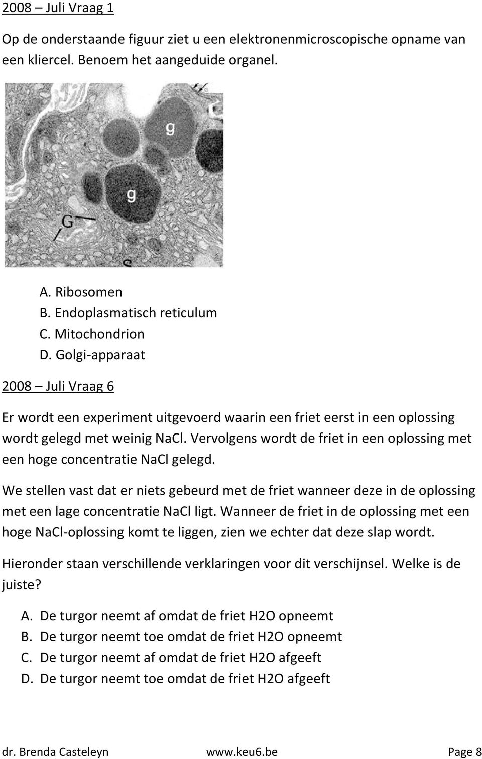 Vervolgens wordt de friet in een oplossing met een hoge concentratie NaCl gelegd. We stellen vast dat er niets gebeurd met de friet wanneer deze in de oplossing met een lage concentratie NaCl ligt.