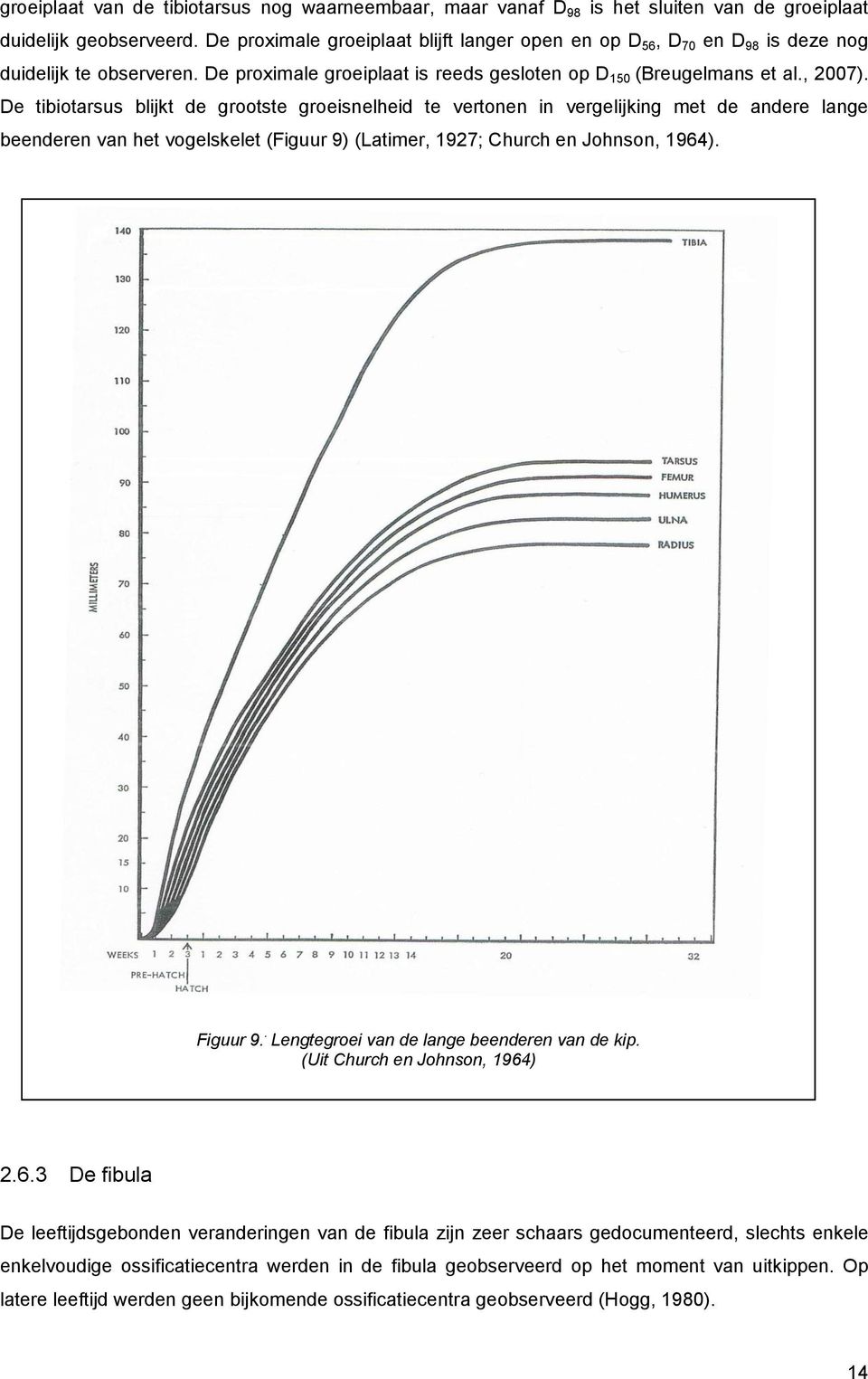 De tibiotarsus blijkt de grootste groeisnelheid te vertonen in vergelijking met de andere lange beenderen van het vogelskelet (Figuur 9) (Latimer, 1927; Church en Johnson, 1964). Figuur 9.