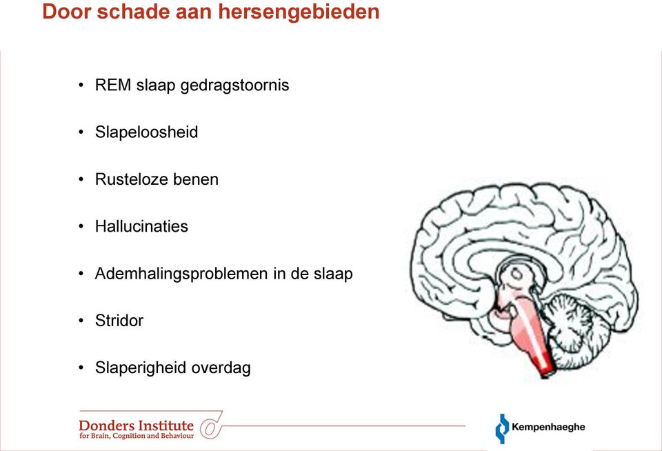 benen Hallucinaties Ademhalingsproblemen