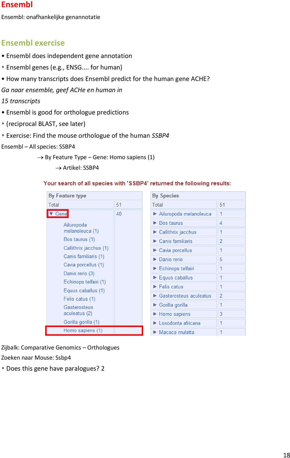 Ga naar ensemble, geef ACHe en human in 15 transcripts Ensembl is good for orthologue predictions (reciprocal BLAST, see later) Exercise: Find