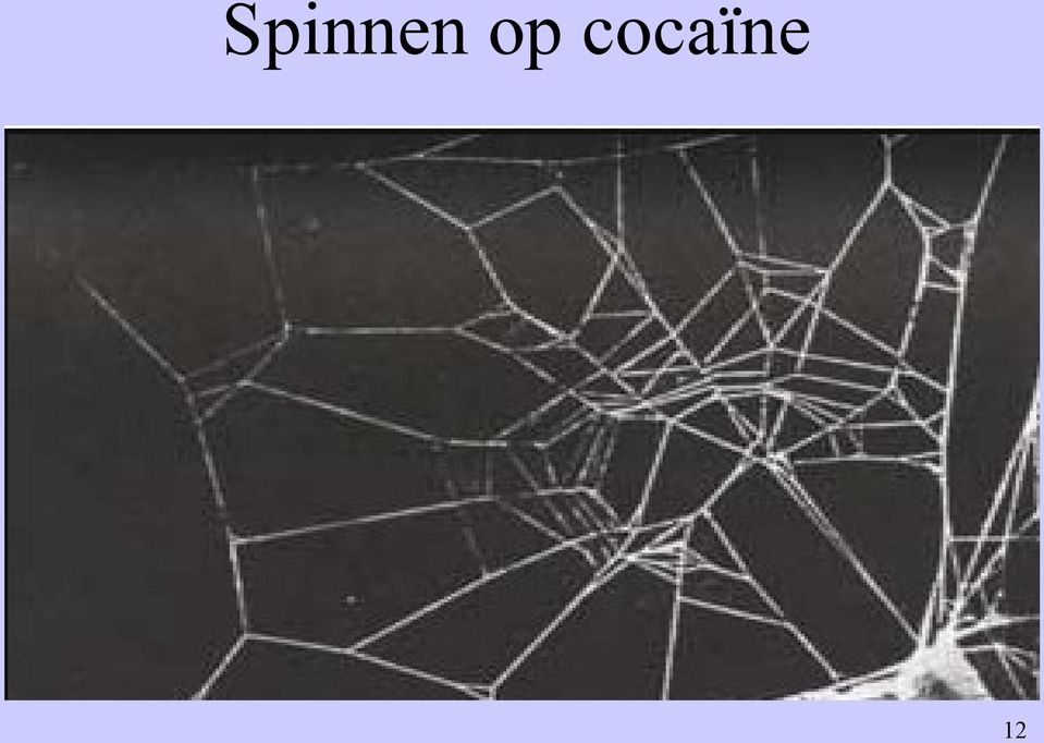 cocaïne