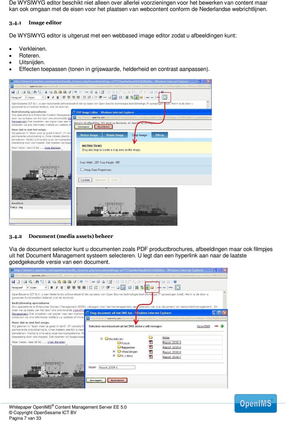 Effecten toepassen (tonen in grijswaarde, helderheid en contrast aanpassen). 3.4.