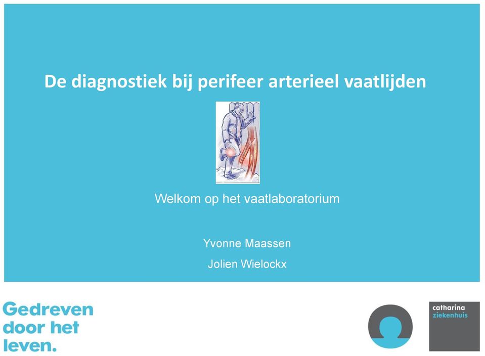 het vaatlaboratorium Yvonne