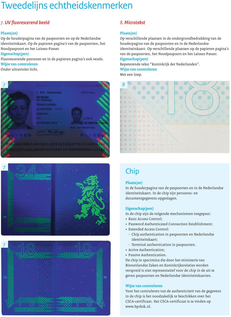 Op verschillende plaatsen in de ondergrondbedrukking van de houderpagina van de paspoorten en in de Nederlandse identiteitskaart.