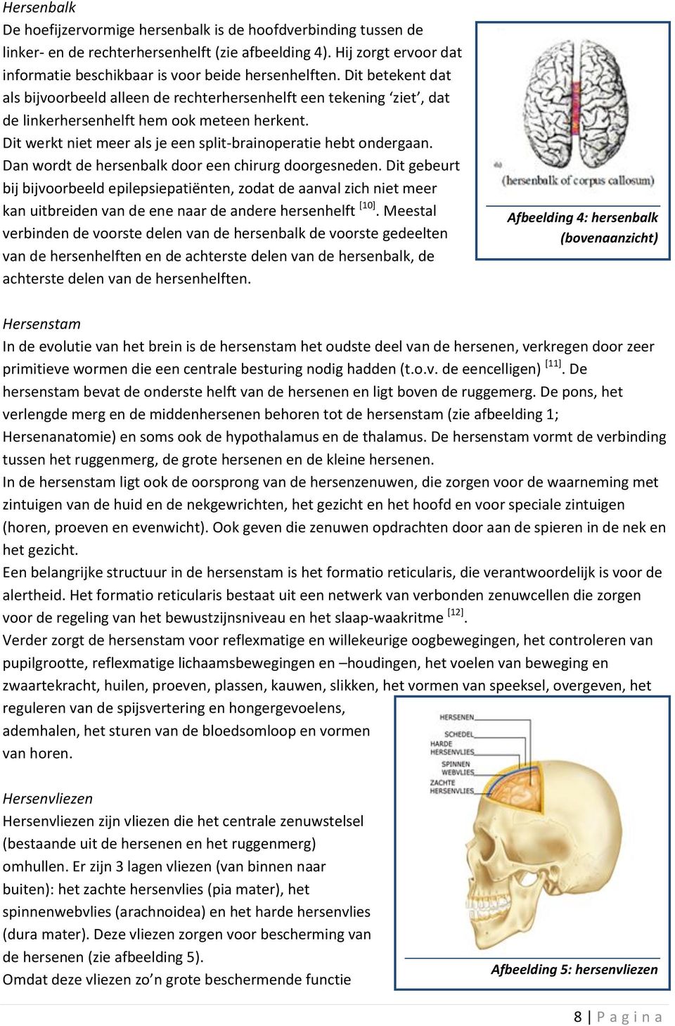 Dan wordt de hersenbalk door een chirurg doorgesneden. Dit gebeurt bij bijvoorbeeld epilepsiepatiënten, zodat de aanval zich niet meer kan uitbreiden van de ene naar de andere hersenhelft [10].