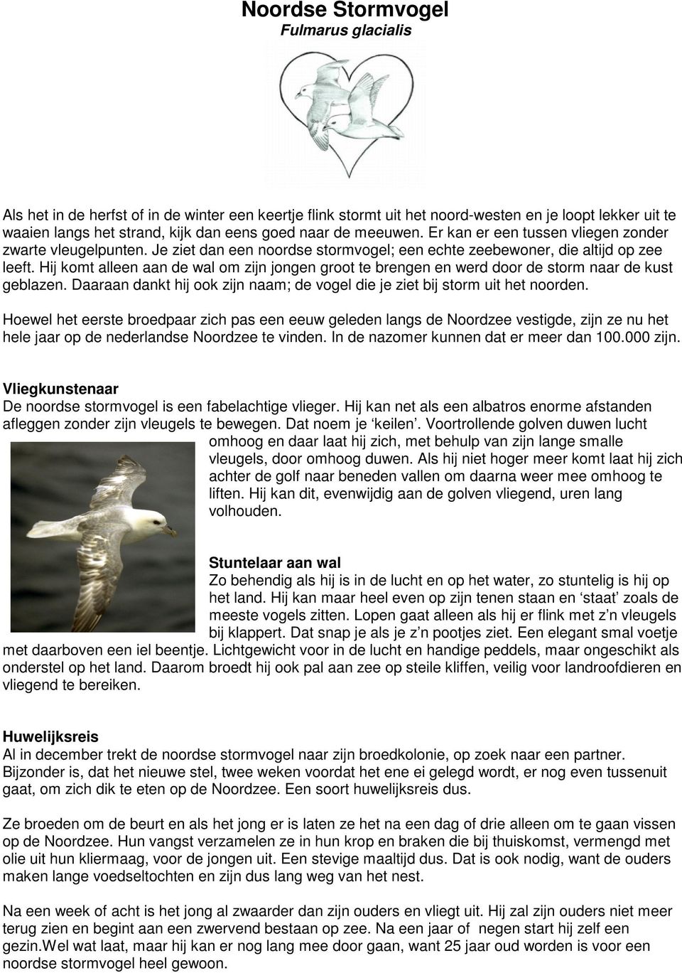 Hij komt alleen aan de wal om zijn jongen groot te brengen en werd door de storm naar de kust geblazen. Daaraan dankt hij ook zijn naam; de vogel die je ziet bij storm uit het noorden.