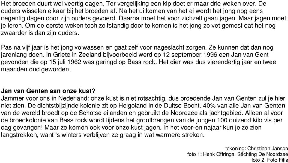 Om de eerste weken toch zelfstandig door te komen is het jong zo vet gemest dat het nog zwaarder is dan zijn ouders. Pas na vijf jaar is het jong volwassen en gaat zelf voor nageslacht zorgen.