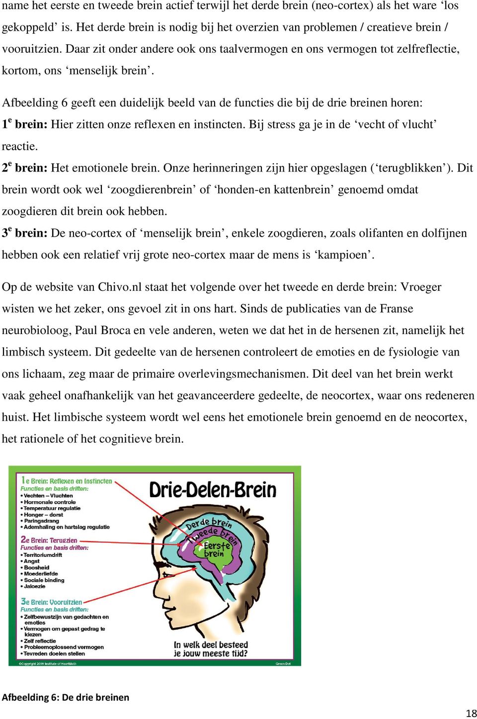 Afbeelding 6 geeft een duidelijk beeld van de functies die bij de drie breinen horen: 1 e brein: Hier zitten onze reflexen en instincten. Bij stress ga je in de vecht of vlucht reactie.