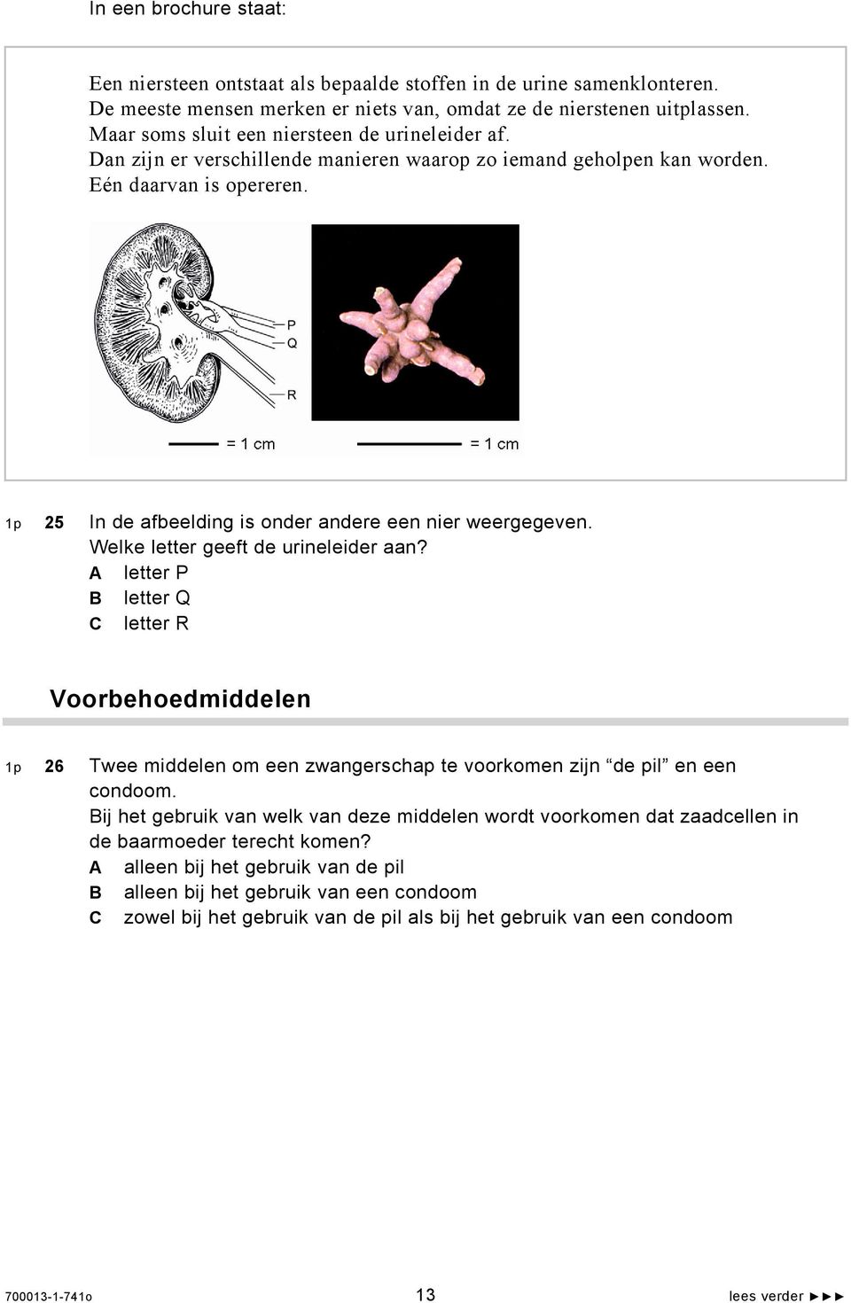 = 1 cm = 1 cm 1p 25 In de afbeelding is onder andere een nier weergegeven. Welke letter geeft de urineleider aan?