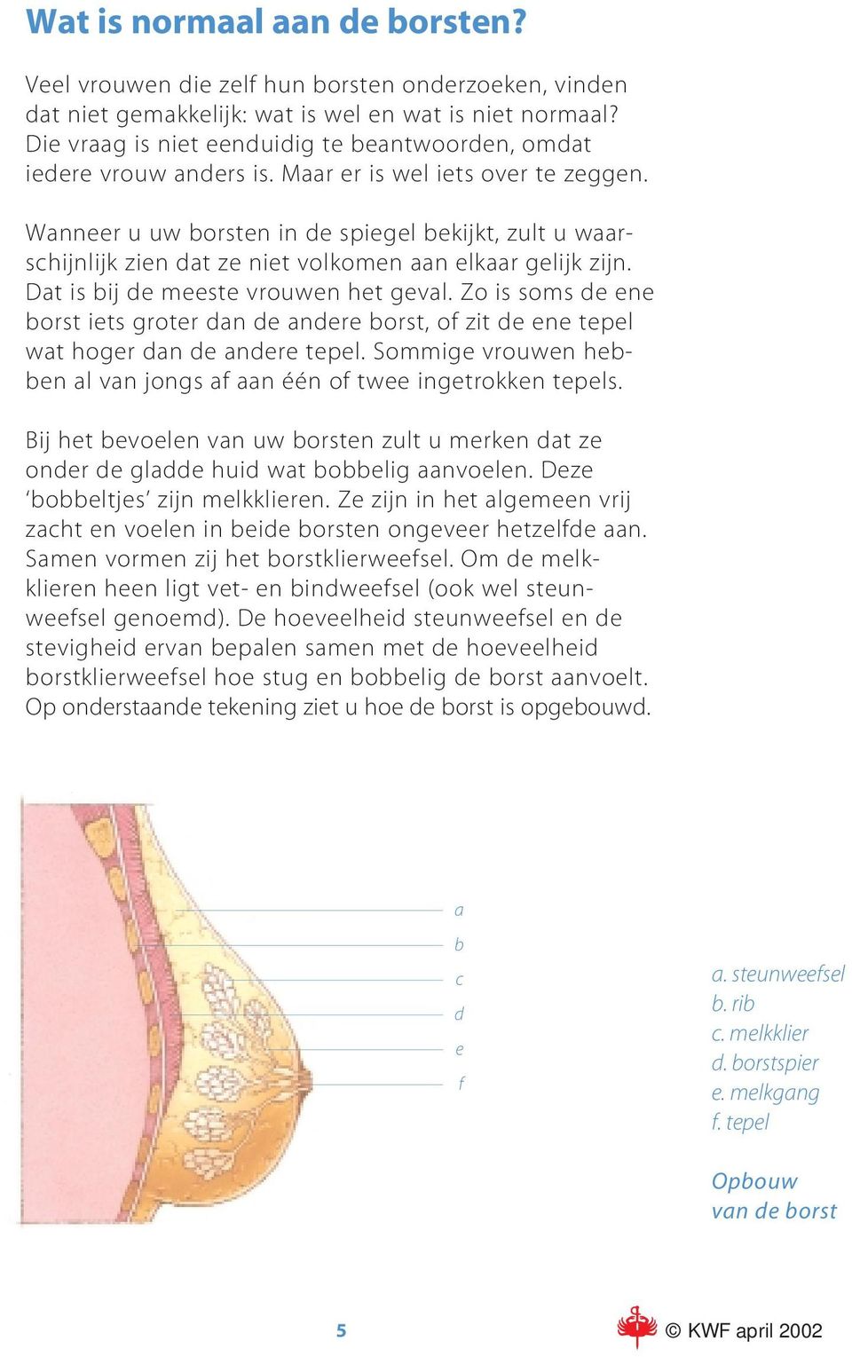 Wanneer u uw borsten in de spiegel bekijkt, zult u waarschijnlijk zien dat ze niet volkomen aan elkaar gelijk zijn. Dat is bij de meeste vrouwen het geval.