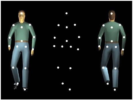 Motion perception tasks