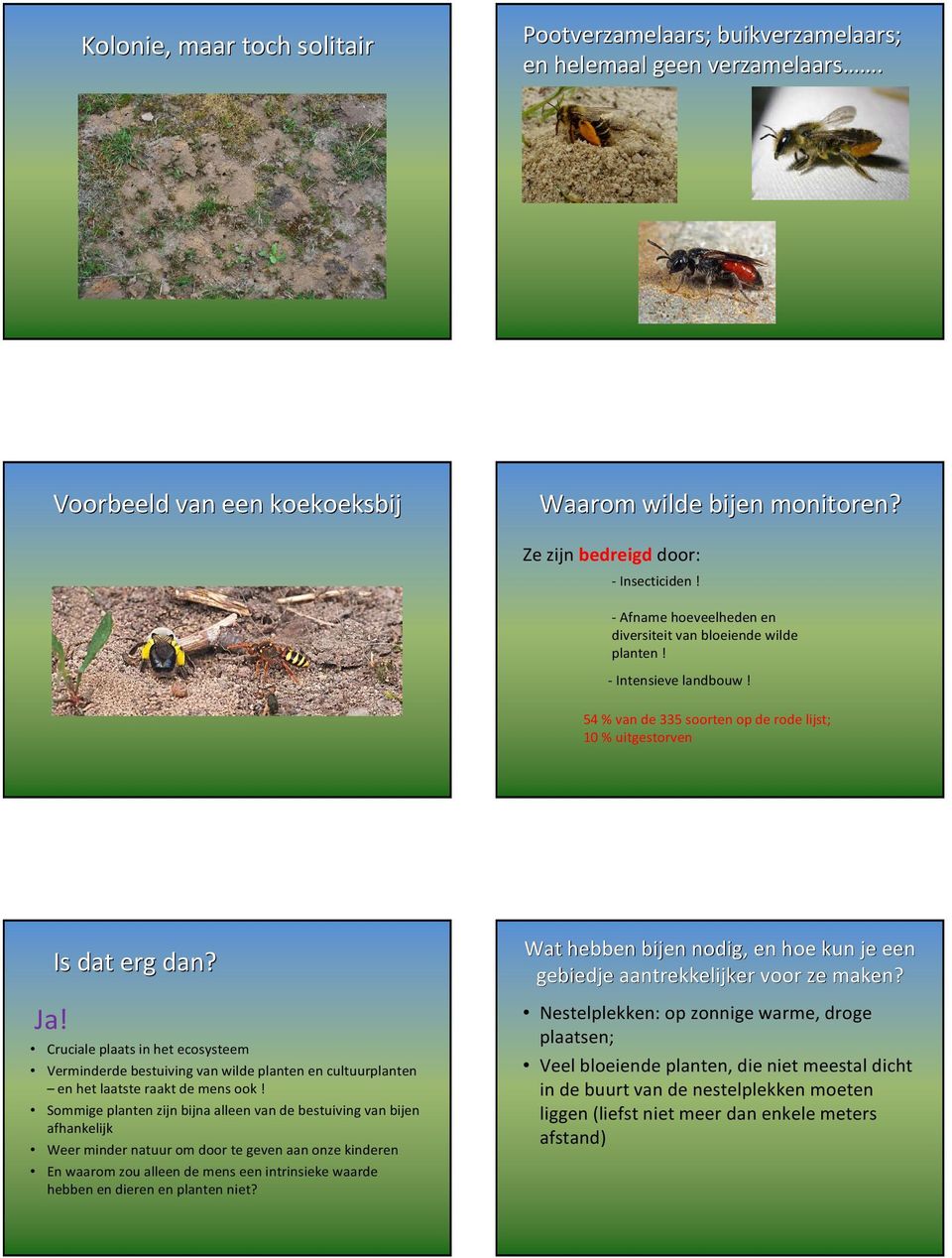 Cruciale plaats in het ecosysteem Verminderde bestuiving van wilde planten en cultuurplanten en het laatste raakt de mens ook!