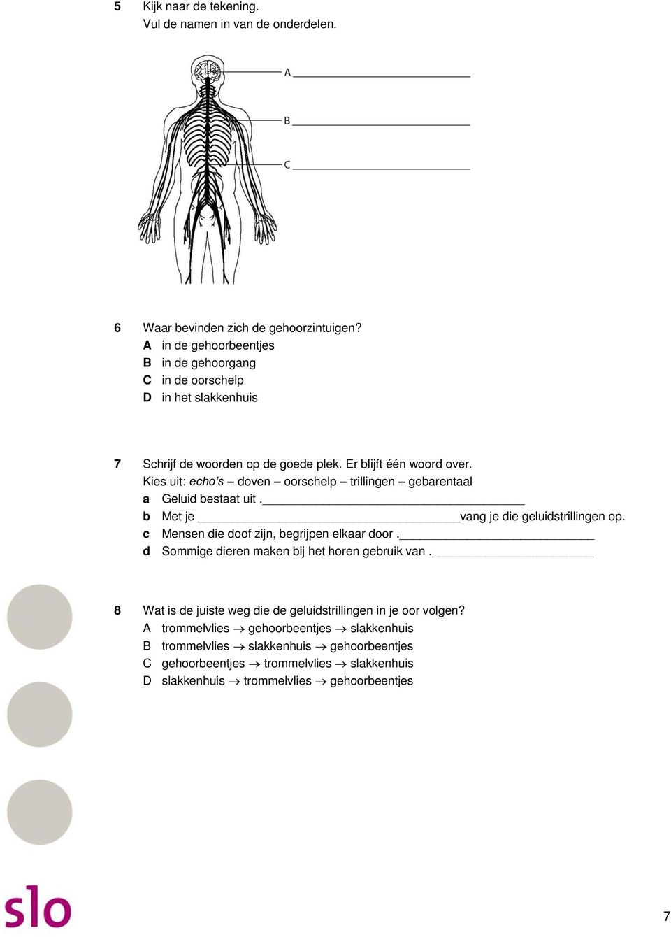 Kies uit: echo s doven oorschelp trillingen gebarentaal a Geluid bestaat uit. b Met je vang je die geluidstrillingen op. c Mensen die doof zijn, begrijpen elkaar door.