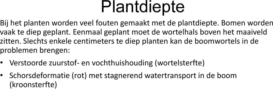 Slechts enkele centimeters te diep planten kan de boomwortels in de problemen brengen: Verstoorde