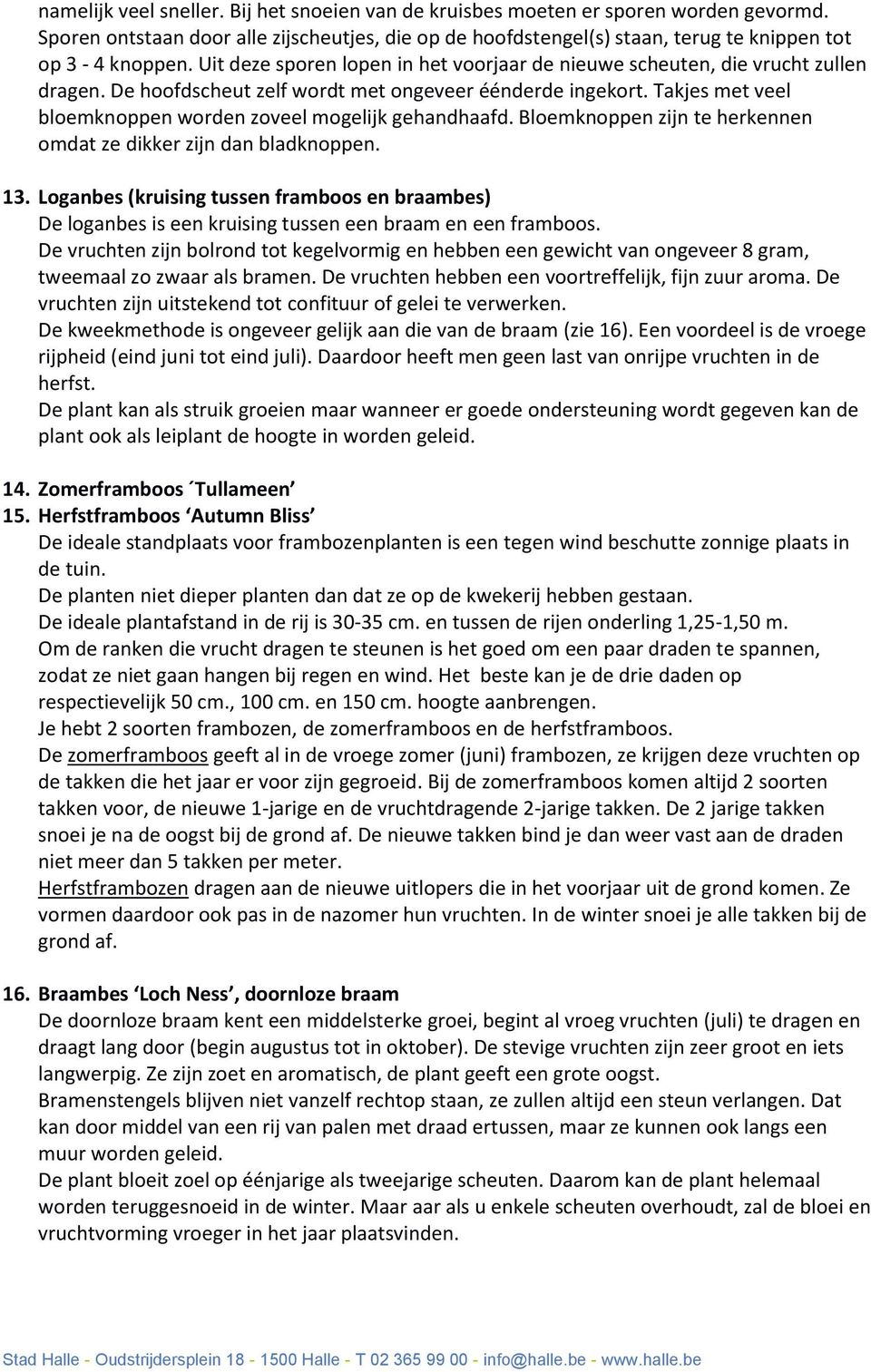 Takjes met veel bloemknoppen worden zoveel mogelijk gehandhaafd. Bloemknoppen zijn te herkennen omdat ze dikker zijn dan bladknoppen. 13.