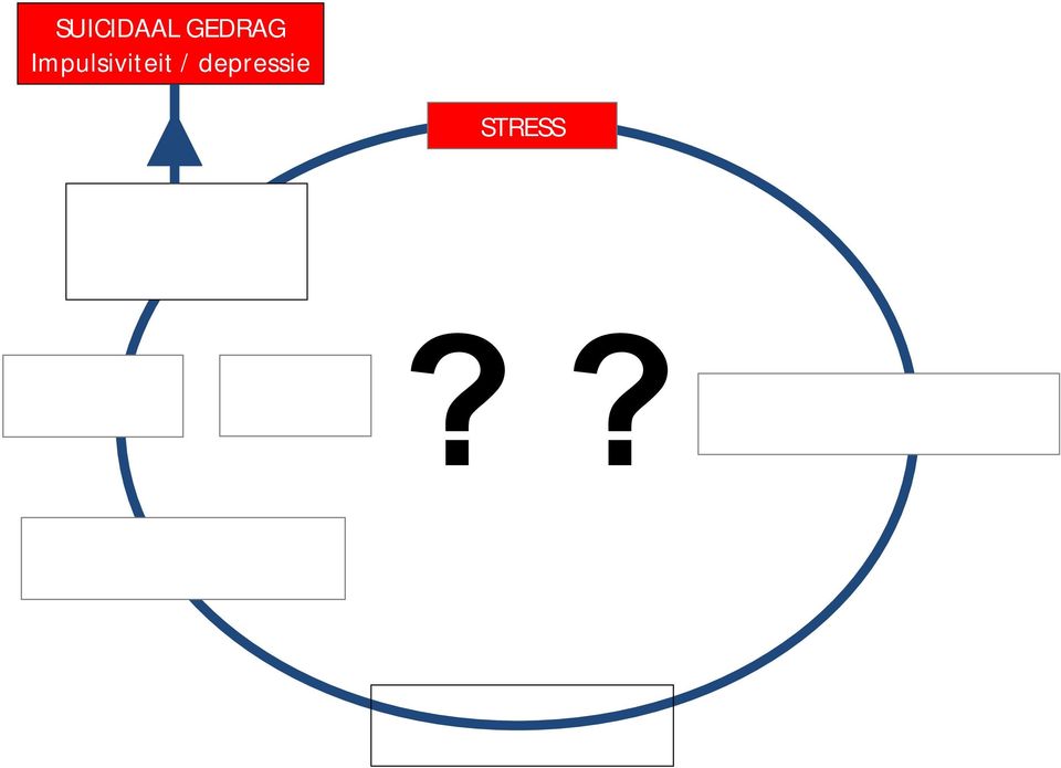 functies Inhibitie Aandacht?