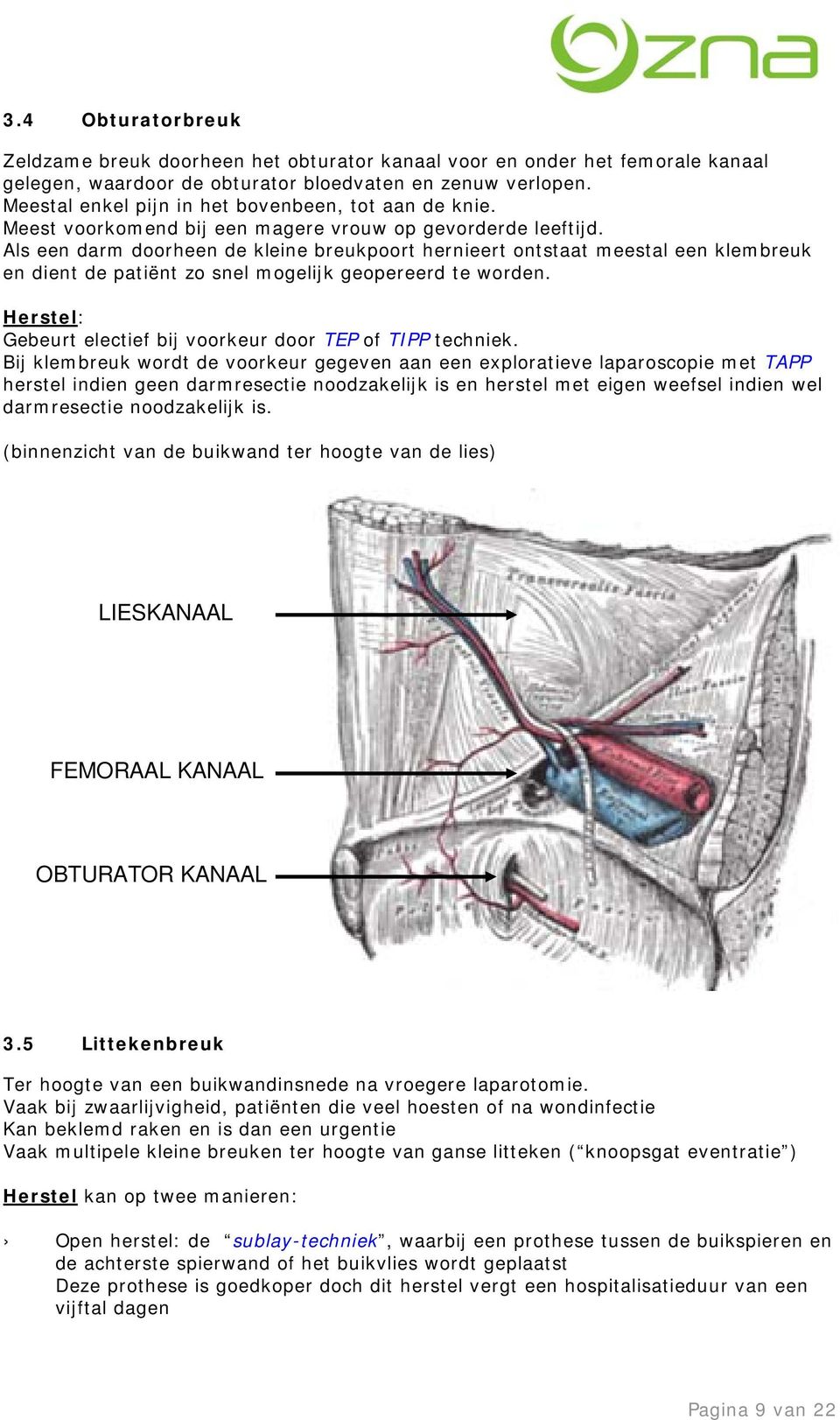 Als een darm doorheen de kleine breukpoort hernieert ontstaat meestal een klembreuk en dient de patiënt zo snel mogelijk geopereerd te worden.