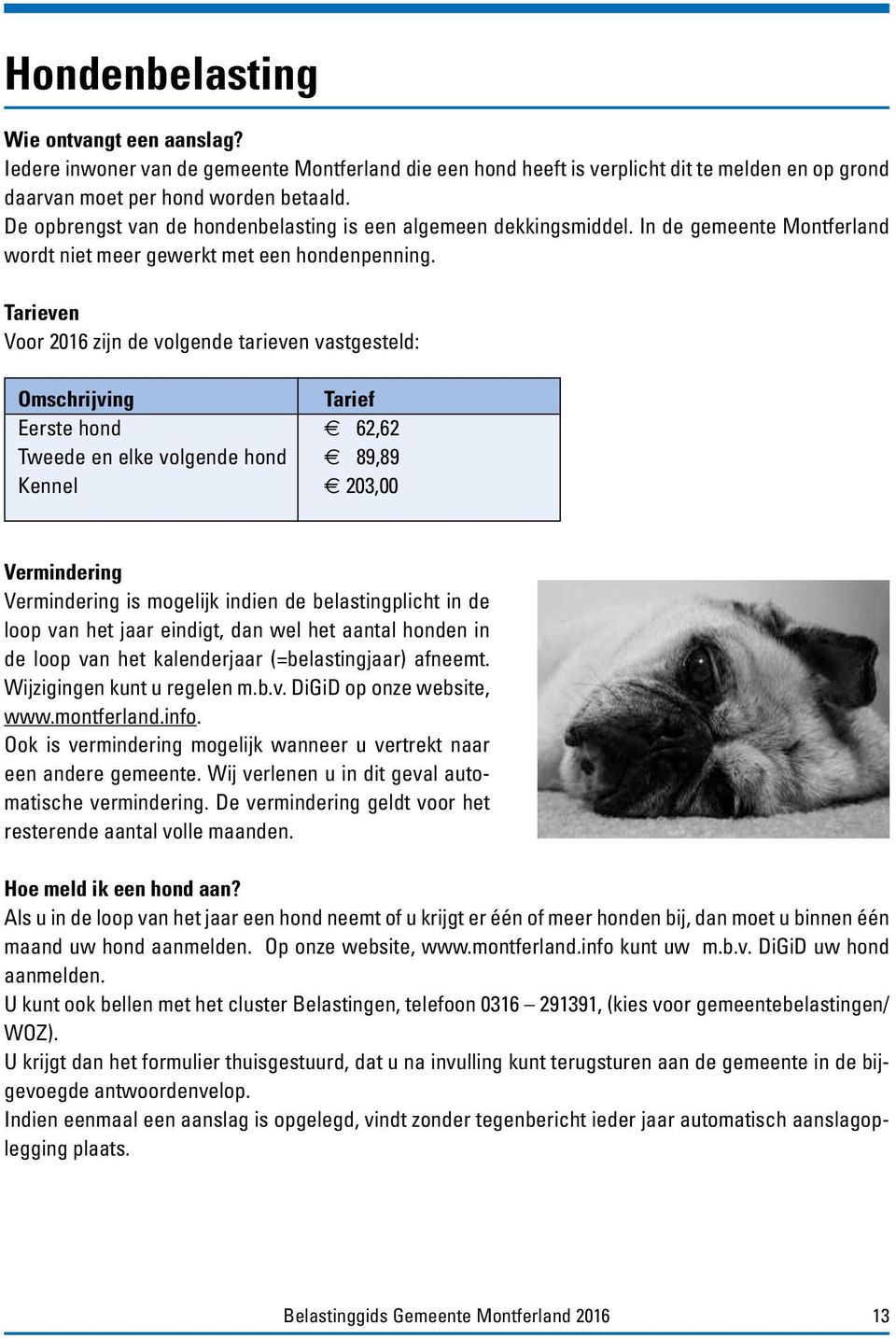 Tarieven Voor 2016 zijn de volgende tarieven vastgesteld: Omschrijving Tarief Eerste hond 62,62 Tweede en elke volgende hond 89,89 Kennel 203,00 Vermindering Vermindering is mogelijk indien de