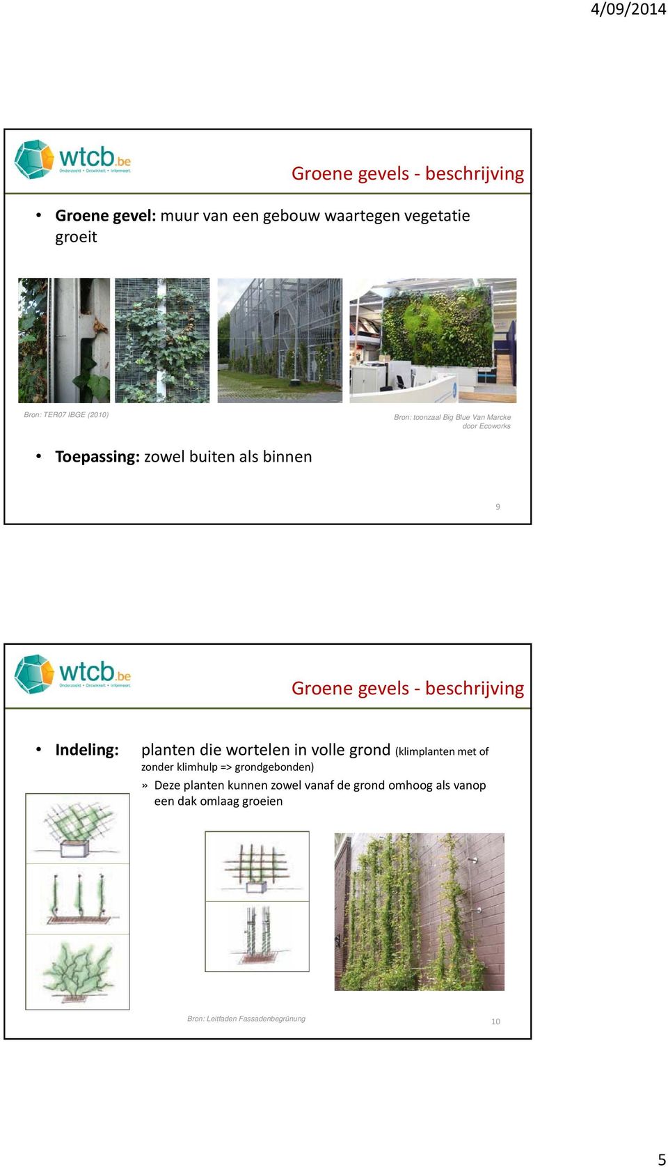 beschrijving Indeling: planten die wortelen in volle grond (klimplanten met of zonder klimhulp =>