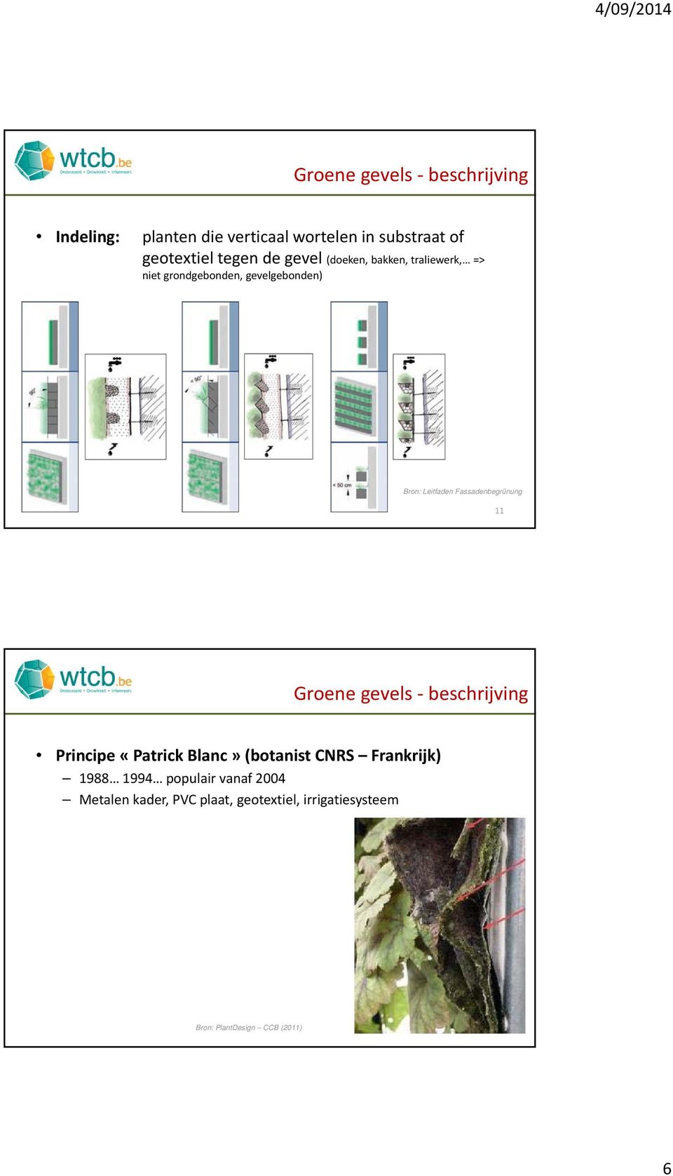 Fassadenbegrünung 11 Groene gevels beschrijving Principe «Patrick Blanc» (botanist CNRS Frankrijk)