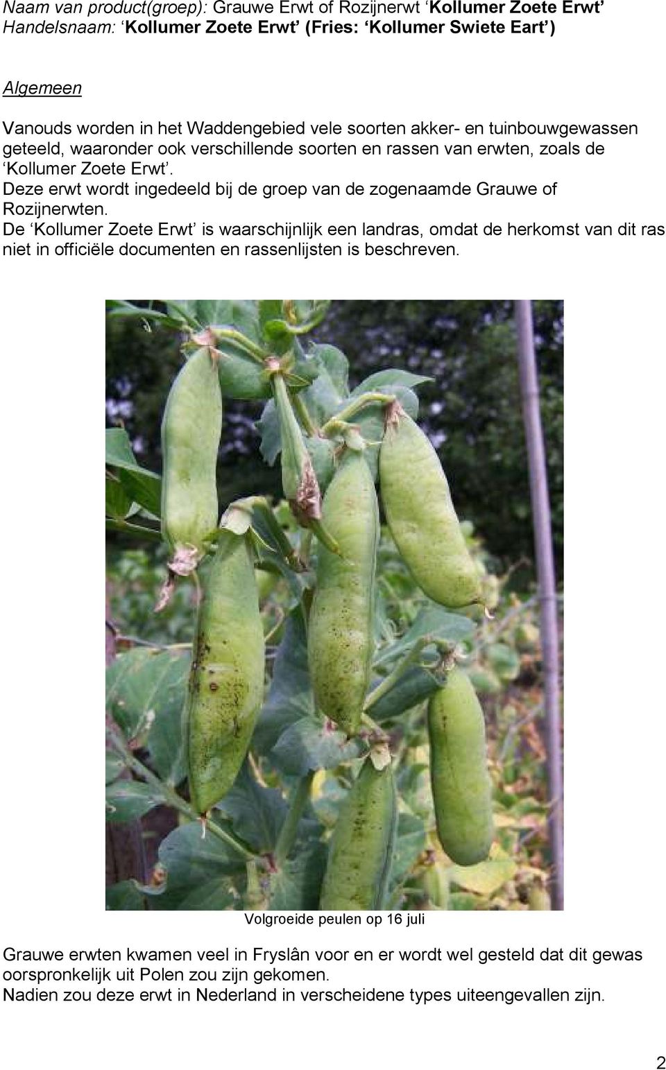 Deze erwt wordt ingedeeld bij de groep van de zogenaamde Grauwe of Rozijnerwten.