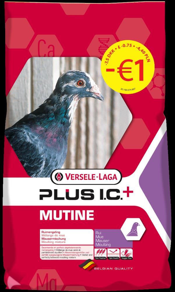 Plus IC+ Mutine: Promo 1 Promonr. 411217 Ideale ruimengeling met een geëxtrudeerde Ruikorrel. Gevarieerd en perfect uitgebalanceerd. Plata maïs...4 % Rode maïs...4 % Franse cribs maïs.