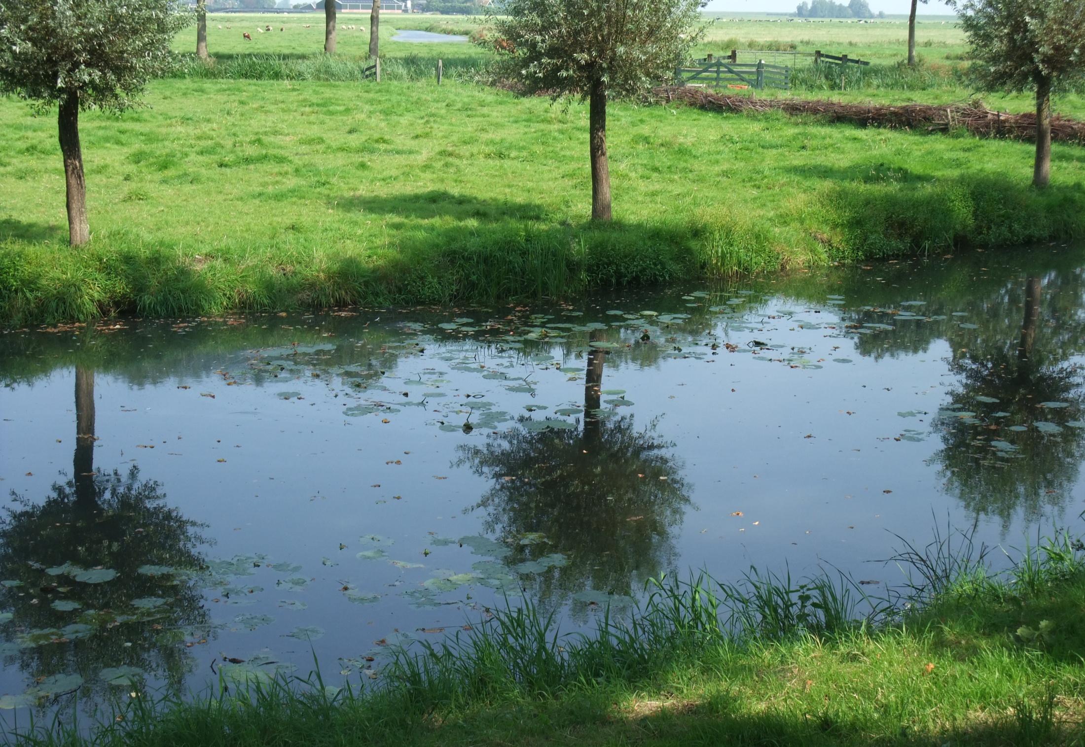 Discussie Wat vind u van de voorgestelde ontwikkelrichtingen? 1. Edam kaasstad - verbeteren en vernieuwen 2. Folklore en nostalgie in Volendam zichtbaarder maken 3.